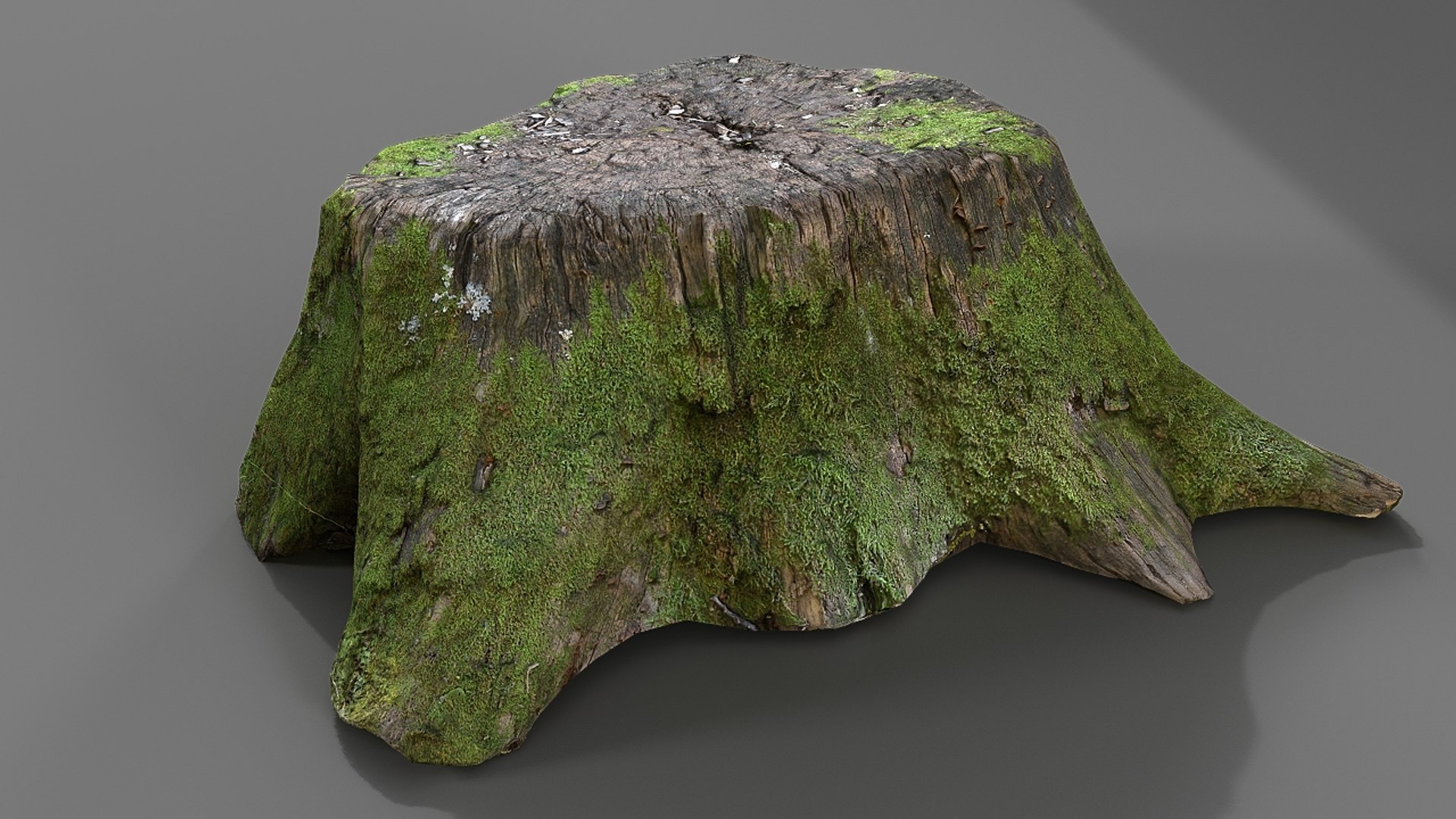 3D Model Realistic Stump - TurboSquid 1343696