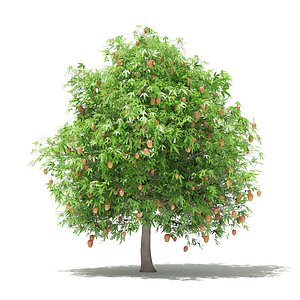 3D mango tree fruits 4m