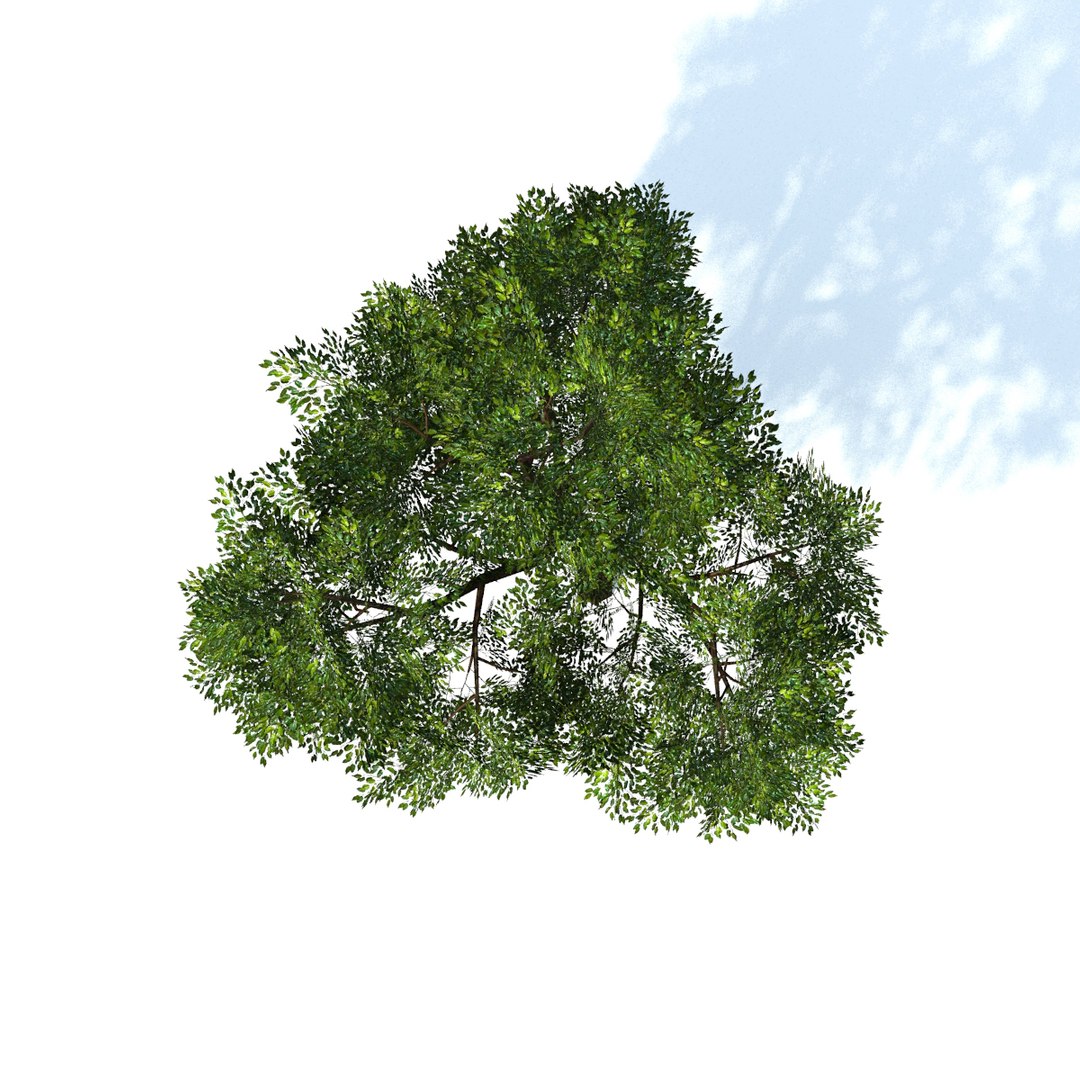 Max Generic Tree