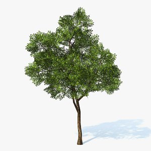 max generic tree