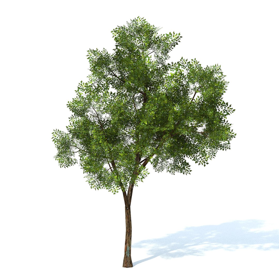 Max Generic Tree