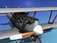 Pfalz DIII T16