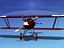 Pfalz DIII T16