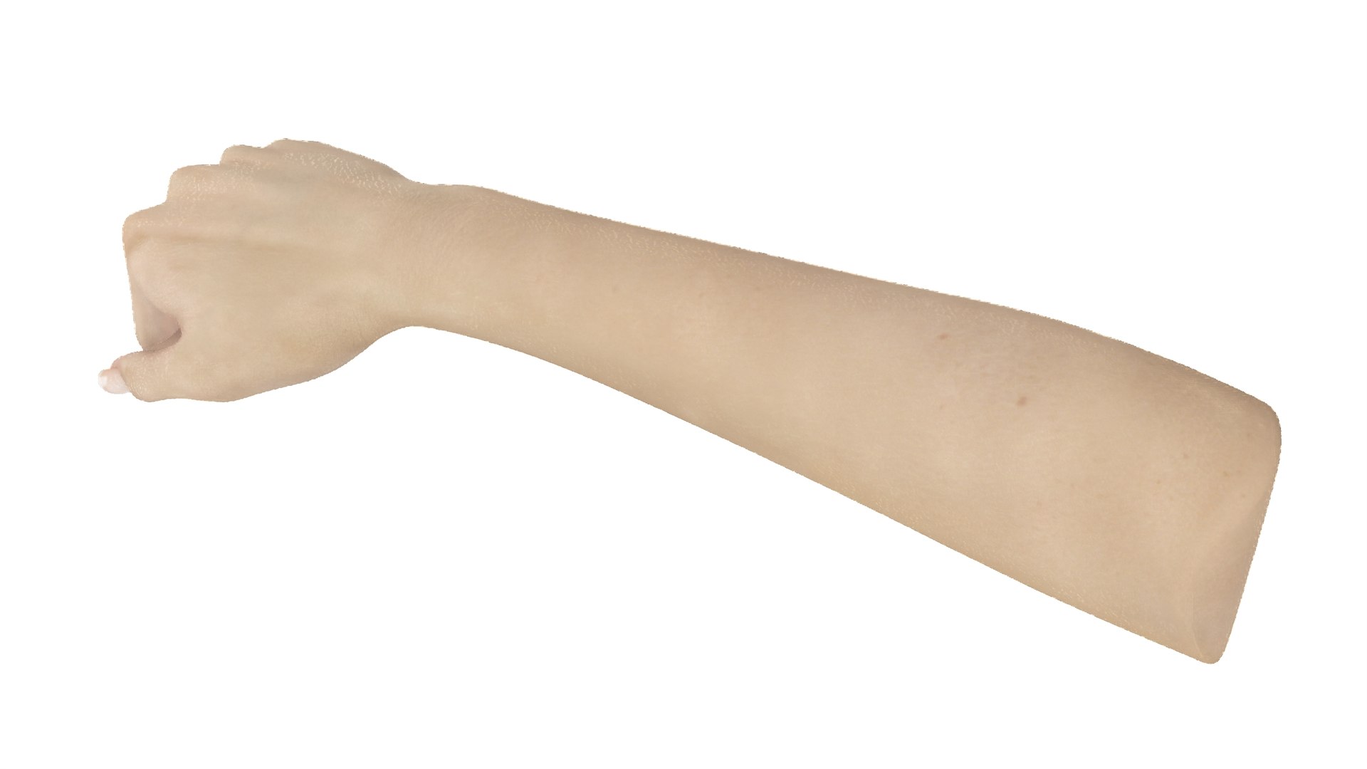 3D White Skinned Woman Fist model https://p.turbosquid.com/ts-thumb/X8/2UBkLP/Zw/whiteskinnedwomanfistvray3dmodel006/jpg/1705991464/1920x1080/fit_q87/c0aa87ab71f957f2dcff8ac48c8964bc2b41c349/whiteskinnedwomanfistvray3dmodel006.jpg