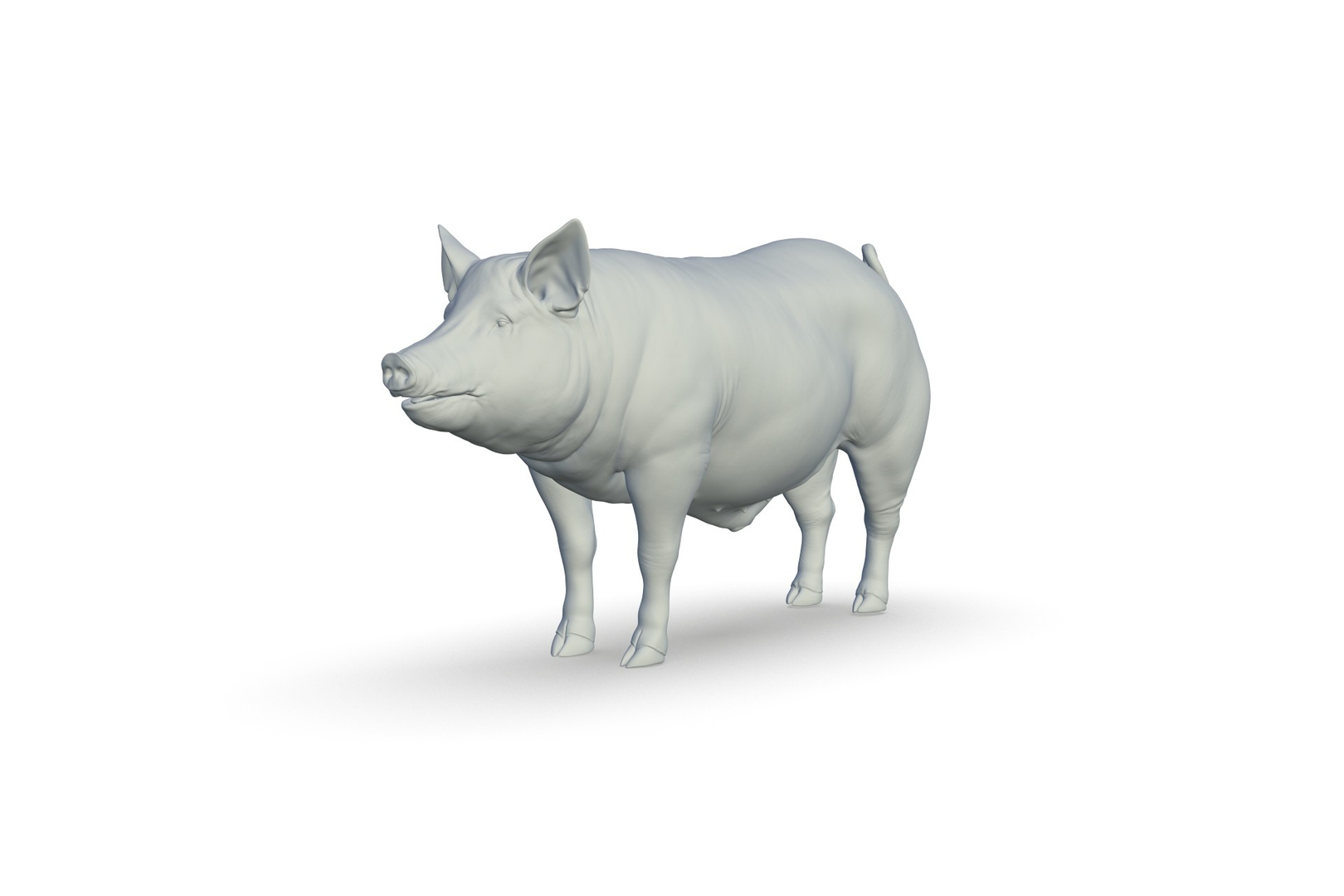 3D Pig Model - TurboSquid 2208433