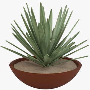 Deco Pot 109
