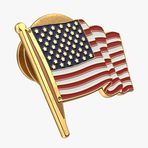 3d american flag pin