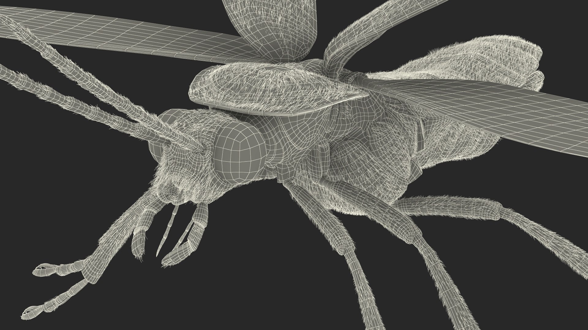 Glowing Firefly Basic Pose Fur 3D - TurboSquid 2170495