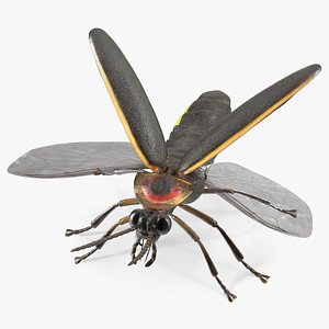 Glowing Firefly Basic Pose Fur 3D