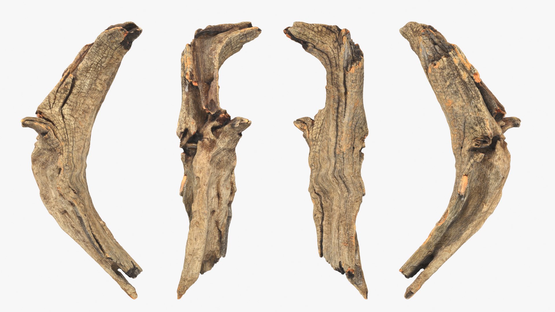 Tree Trunk Piece Collection 2 3D https://p.turbosquid.com/ts-thumb/X8/SdF07Y/5z/treetrunkpc02_0001b/png/1767769061/1920x1080/fit_q87/7b1f30fe2941e0db4e2c5958532ffbb567e2c2a2/treetrunkpc02_0001b.jpg