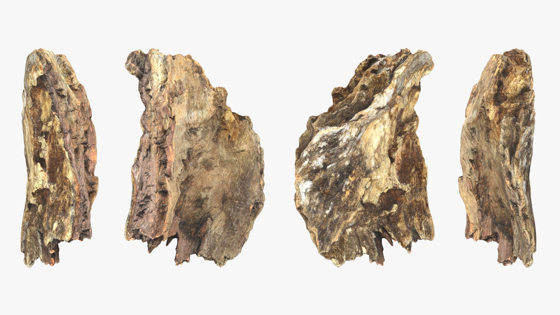 Tree Trunk Piece Collection 2 3D https://p.turbosquid.com/ts-thumb/X8/SdF07Y/IF/treetrunkpc13_0001b/png/1767769097/1920x1080/fit_q87/aaef711d2f291931d97698cd0292f4351e996888/treetrunkpc13_0001b.jpg