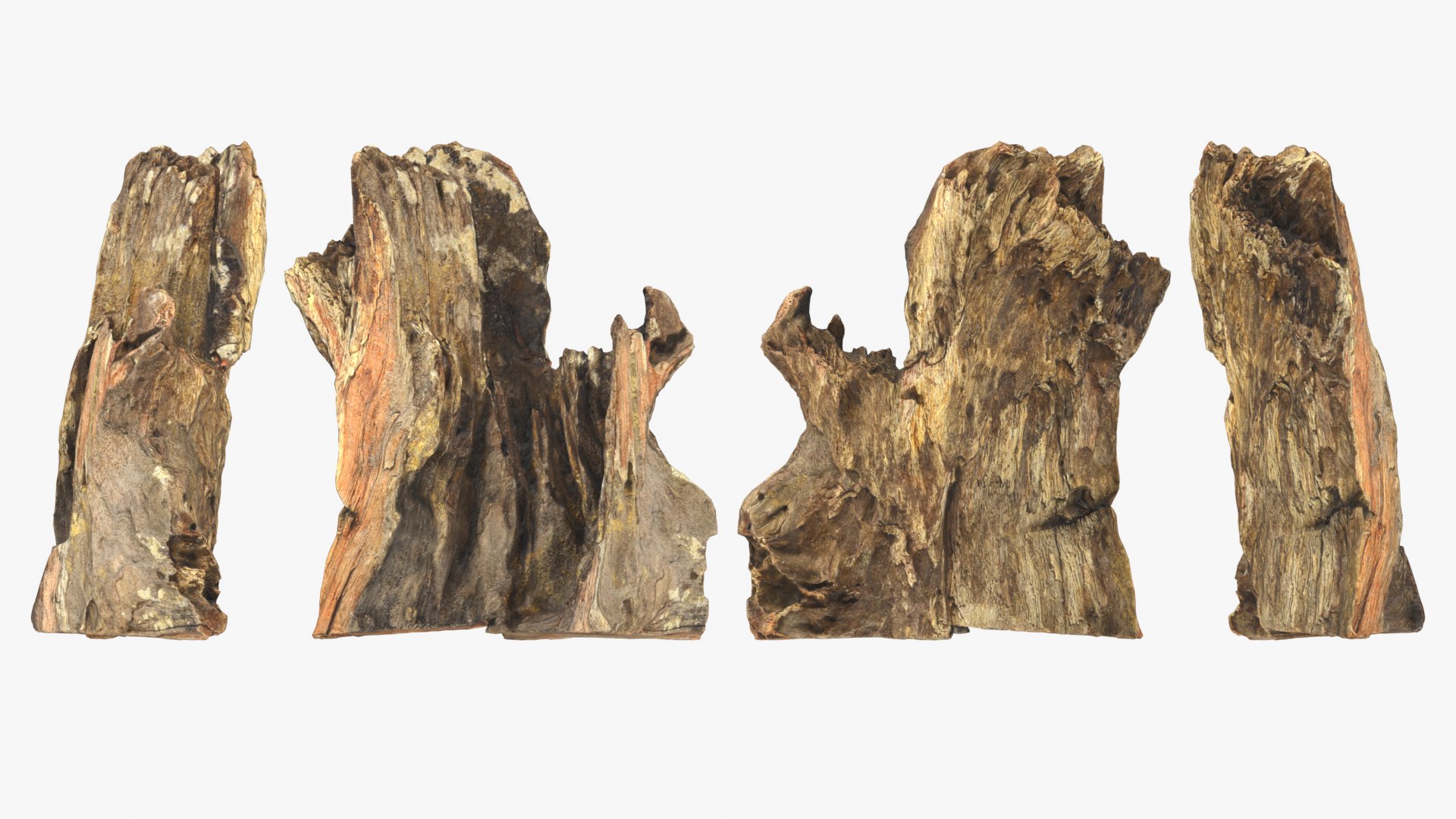 Tree Trunk Piece Collection 2 3D https://p.turbosquid.com/ts-thumb/X8/SdF07Y/JU/treetrunkpc16_0001b/png/1767769111/1920x1080/fit_q87/f0704067d9e08de331253d46bf4fc47c7b31423a/treetrunkpc16_0001b.jpg
