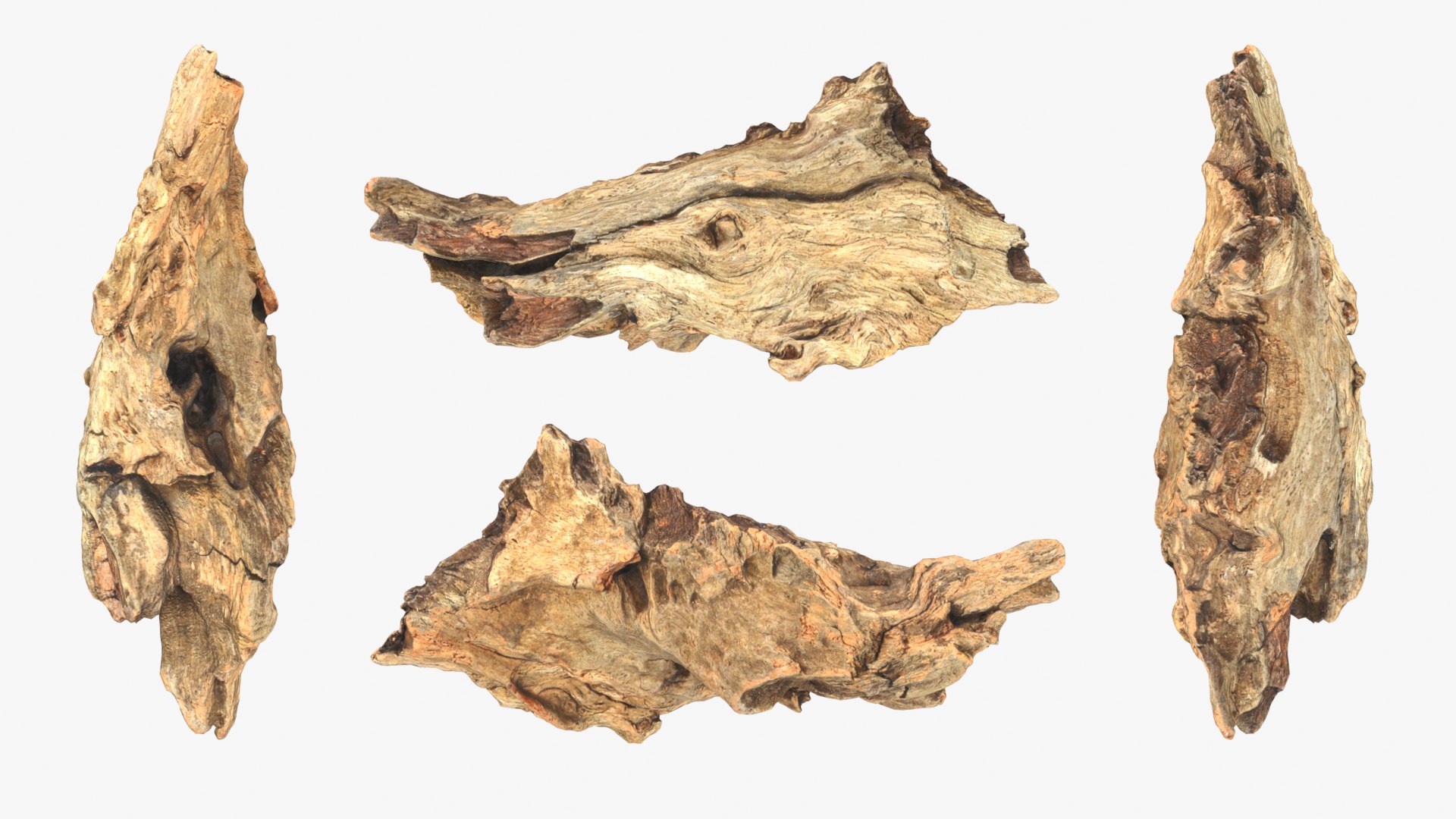 Tree Trunk Piece Collection 2 3D https://p.turbosquid.com/ts-thumb/X8/SdF07Y/MB/treetrunkpc06_0001b/png/1767769075/1920x1080/fit_q87/85eeca72d9a0079433f81aba8a2e298be7ae8cba/treetrunkpc06_0001b.jpg