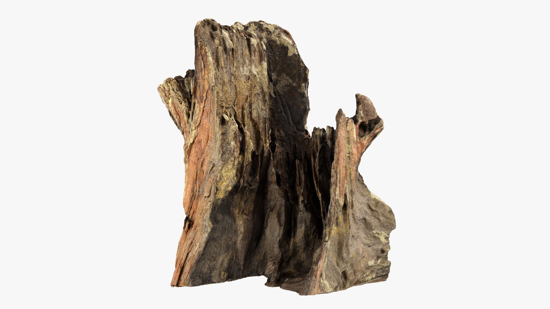 Tree Trunk Piece Collection 2 3D https://p.turbosquid.com/ts-thumb/X8/SdF07Y/NC/treetrunkpc16_0001/png/1767769111/1920x1080/fit_q87/91c1aeaeed67edcac938f3eb8026a5e9bddb95f5/treetrunkpc16_0001.jpg