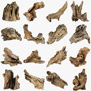 Tree Trunk Piece Collection 2 3D