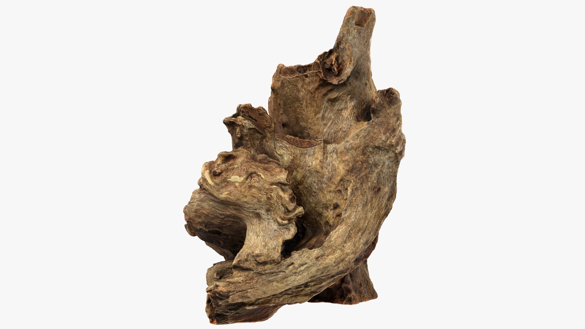Tree Trunk Piece Collection 2 3D https://p.turbosquid.com/ts-thumb/X8/SdF07Y/ja/treetrunkpc15_0001/png/1767769107/1920x1080/fit_q87/c71e965de7115cfd5b8e3015eec6a886b1b98ae3/treetrunkpc15_0001.jpg