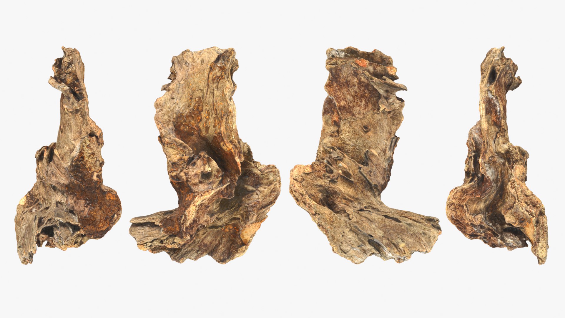 Tree Trunk Piece Collection 2 3D https://p.turbosquid.com/ts-thumb/X8/SdF07Y/mG/treetrunkpc03_0001b/png/1767769064/1920x1080/fit_q87/47698795395596ab153b722a42bb5814e298a6cb/treetrunkpc03_0001b.jpg