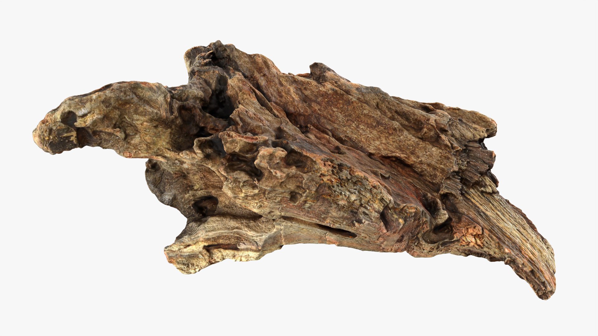 Tree Trunk Piece Collection 2 3D https://p.turbosquid.com/ts-thumb/X8/SdF07Y/mJ/treetrunkpc01_0001/png/1767769062/1920x1080/fit_q87/a00d6a1e61ed2ca7752f203329f04cce5939567d/treetrunkpc01_0001.jpg