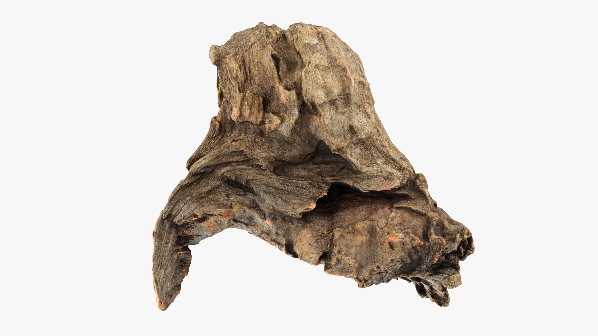 Tree Trunk Piece Collection 2 3D https://p.turbosquid.com/ts-thumb/X8/SdF07Y/ty/treetrunkpc09_0001/png/1767769082/1920x1080/fit_q87/4de975a39c7734186025675c1efa312c9099ee50/treetrunkpc09_0001.jpg