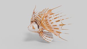 3D model Broadbarred Farefish
