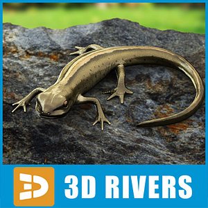 Smooth Newt by 3DRivers