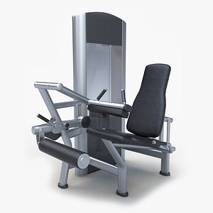 Seated Leg Curl