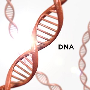 3D dna science helix
