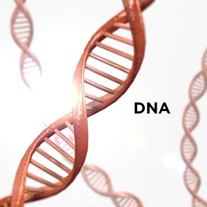 DNA