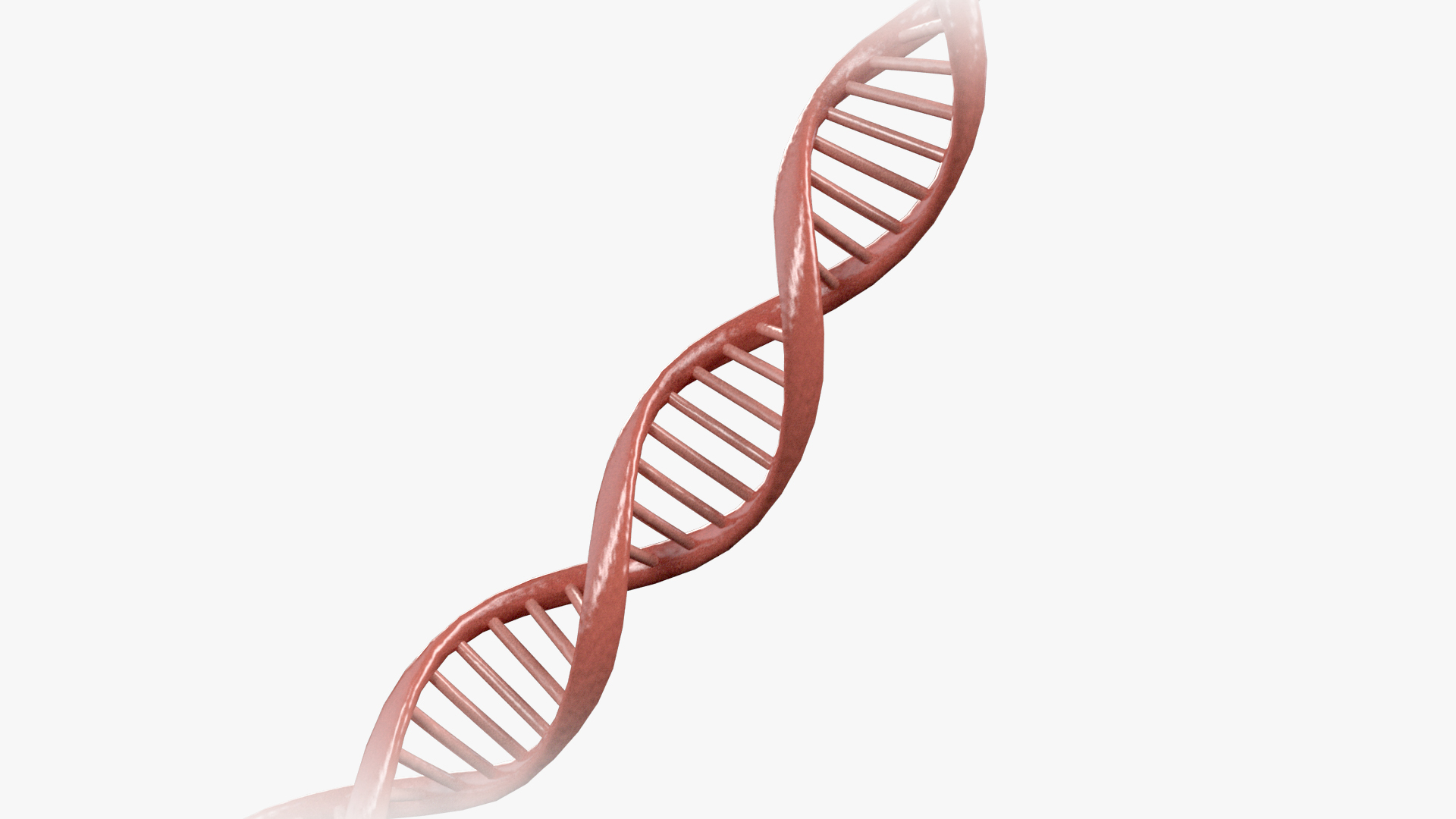 3D dna science helix https://p.turbosquid.com/ts-thumb/X8/vZwdKI/vB/dna360/jpg/1741377518/1920x1080/turn_fit_q99/e81daf820620650a02524eb426420f6eaa5a80a8/dna360-1.jpg