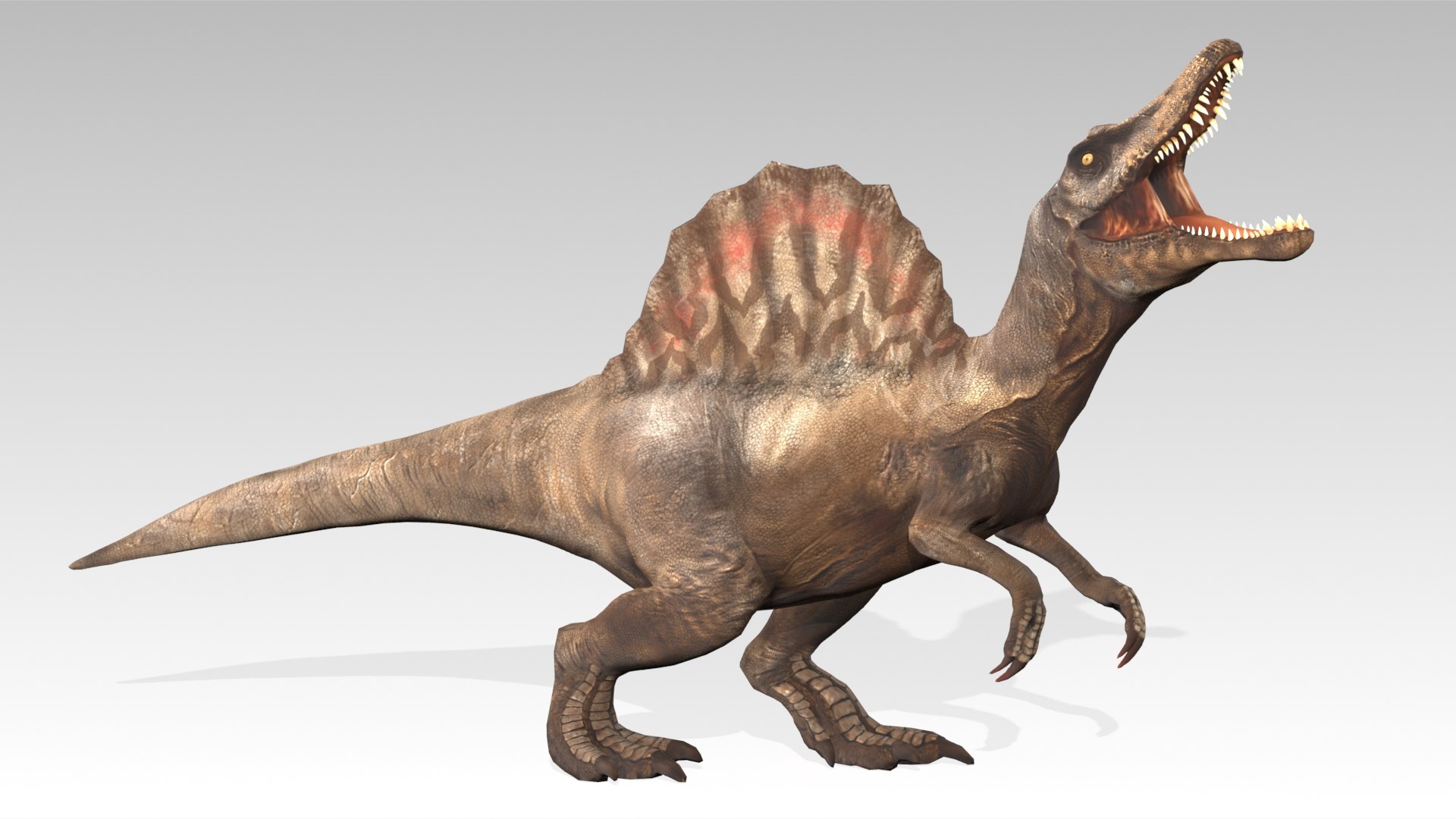 Spinosaurus Animated 3D model https://p.turbosquid.com/ts-thumb/X9/0cZVTv/ec/07spinosaurus_screenshot/jpg/1750419563/1920x1080/fit_q87/4f6808e464e27176806a3417aebb34750d160869/07spinosaurus_screenshot.jpg