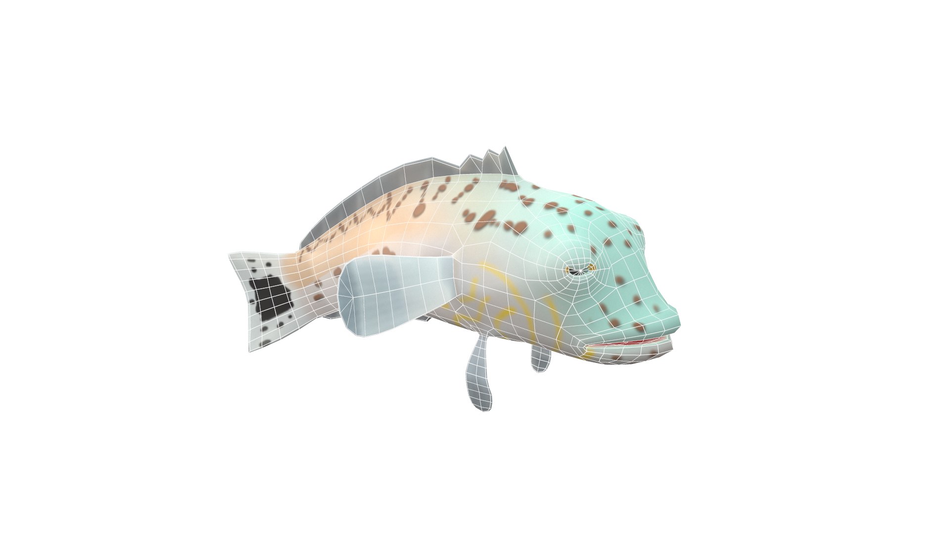 speckled sand perch fish toon 3D model https://p.turbosquid.com/ts-thumb/X9/4uI38C/ag98uje7/screenshot109/png/1593422381/1920x1080/fit_q87/ab96687c0120b1ba4514ceb375979053c95ceee6/screenshot109.jpg