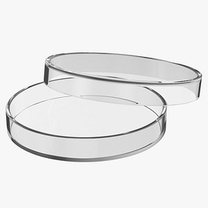 Petri Dish Big 3D