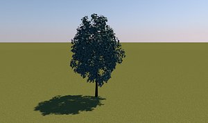 3D tree model