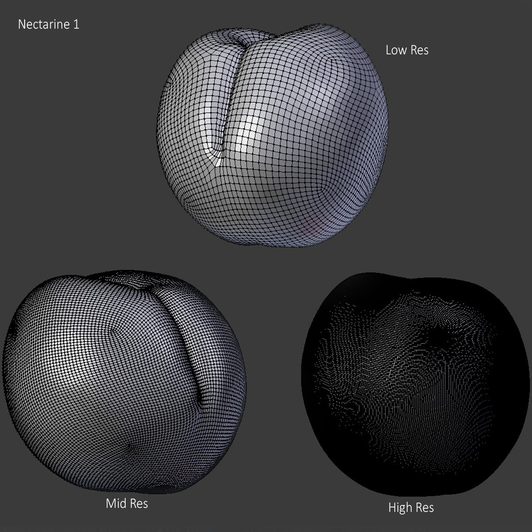 apples fruits model https://p.turbosquid.com/ts-thumb/X9/Ge5tpT/0dg20rWW/nectarine_1_mesh/jpg/1517863393/1920x1080/fit_q87/86586e5d0275024ed2a236c4ec4c8ec21b4e5658/nectarine_1_mesh.jpg