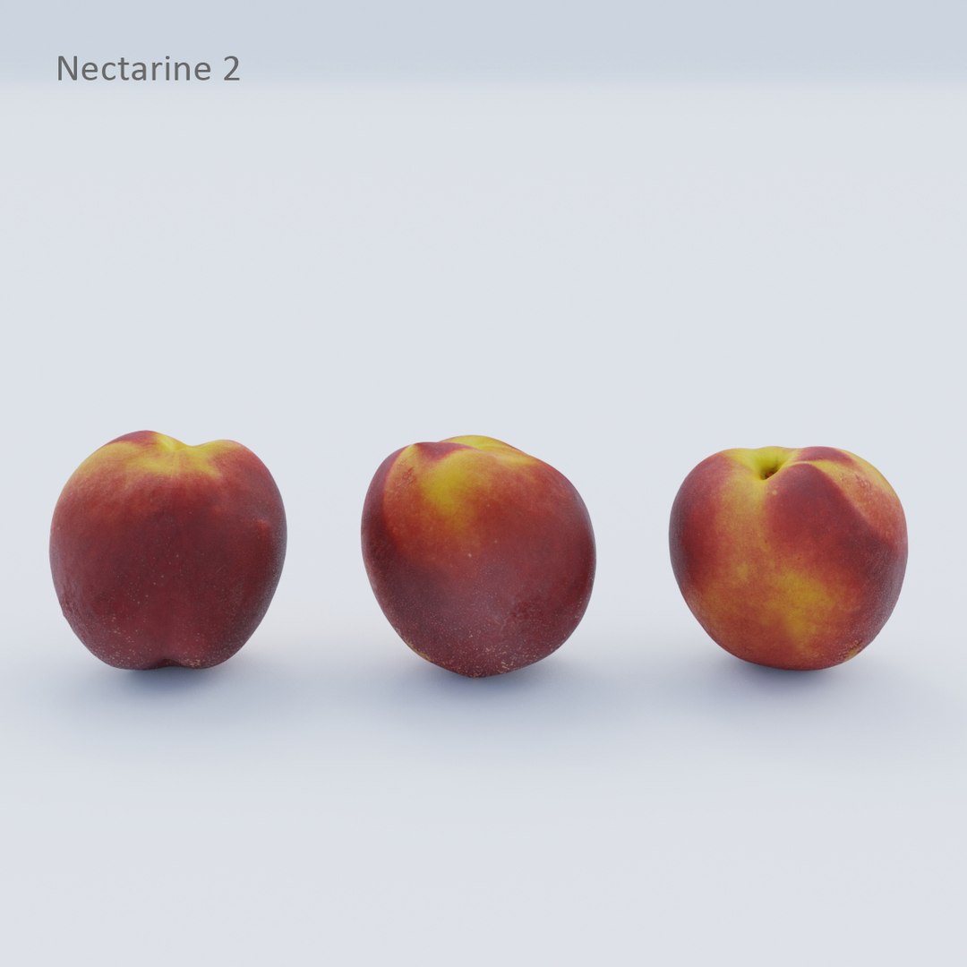 apples fruits model https://p.turbosquid.com/ts-thumb/X9/Ge5tpT/RDVsCtLq/nectarine_2_res/jpg/1517863393/1920x1080/fit_q87/31603c842268370f0fb71d2769e76c7bc6f91317/nectarine_2_res.jpg