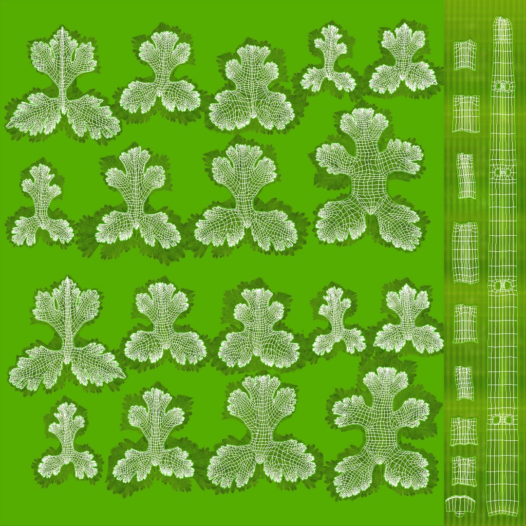 max cilantro https://p.turbosquid.com/ts-thumb/X9/LME1HL/iVDvRZdc/cilantro_uvw_0000/jpg/1409128582/1920x1080/fit_q87/2e24fc51f5c87621b844277fbbdfb0d5ab3f4ccc/cilantro_uvw_0000.jpg