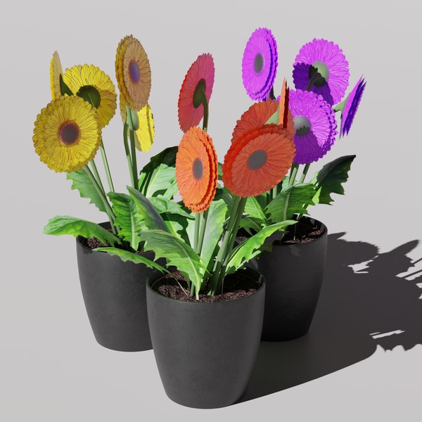 Gerbera 3D - TurboSquid 2031126