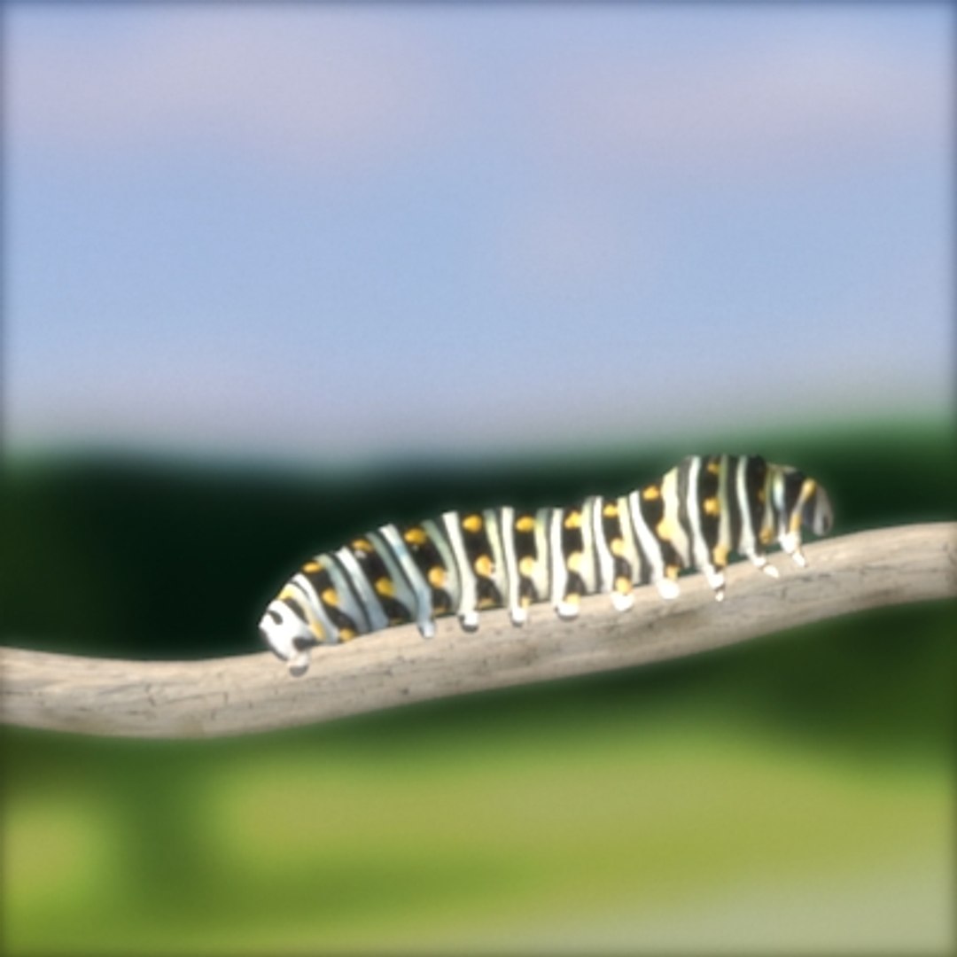 maya caterpillar https://p.turbosquid.com/ts-thumb/X9/Yjxbgq/16U7yMJs/caterpillar2/jpg/1160437009/1920x1080/fit_q87/c965ad8070db782b423cabe8592c5325b9823158/caterpillar2.jpg