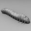 caterpillar