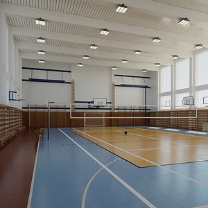 Basketball Volleyball School Gym