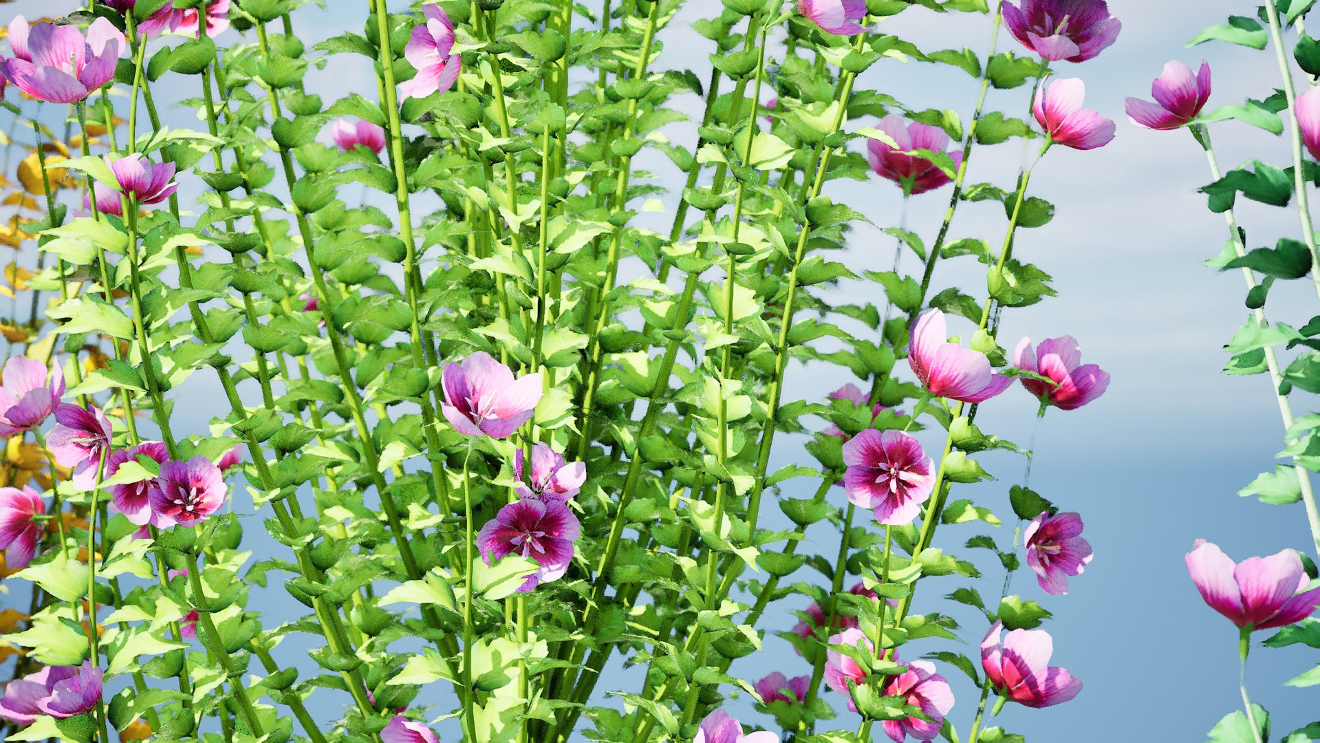 Gandini Santiago flowering shrubs 3D model https://p.turbosquid.com/ts-thumb/X9/cjh8Kf/0u/highresscreenshot00000/jpg/1705197913/1920x1080/fit_q87/2f6a615392867755bf505c31096ff0696513fb15/highresscreenshot00000.jpg