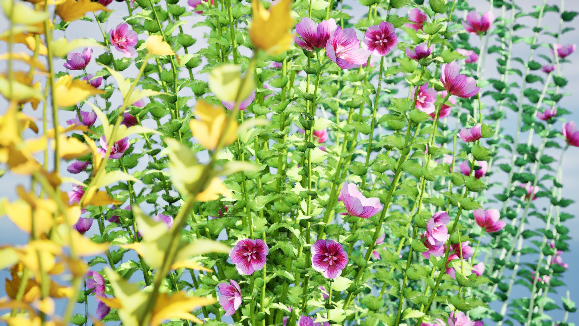Gandini Santiago flowering shrubs 3D model https://p.turbosquid.com/ts-thumb/X9/cjh8Kf/If/highresscreenshot00003/jpg/1705197919/1920x1080/fit_q87/37f450525c8e8a2aa26cbacfe6e3ce0e6b34ee91/highresscreenshot00003.jpg