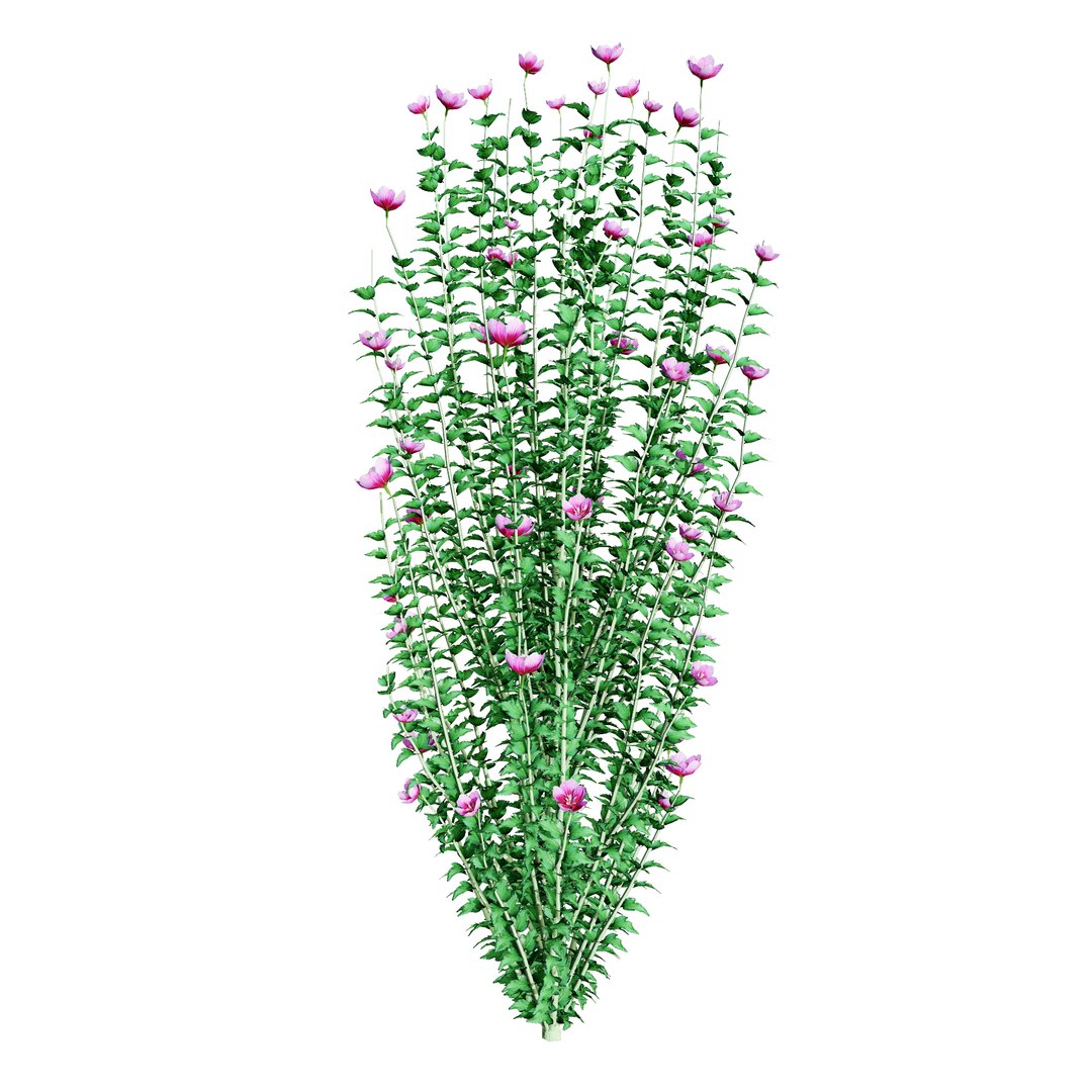 Gandini Santiago flowering shrubs 3D model https://p.turbosquid.com/ts-thumb/X9/cjh8Kf/ol/purple_pillar_rose_spring/jpg/1705197943/1920x1080/fit_q87/863038e0be522c826193152a0037681ec6a8b696/purple_pillar_rose_spring.jpg