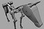 3d robotic horse