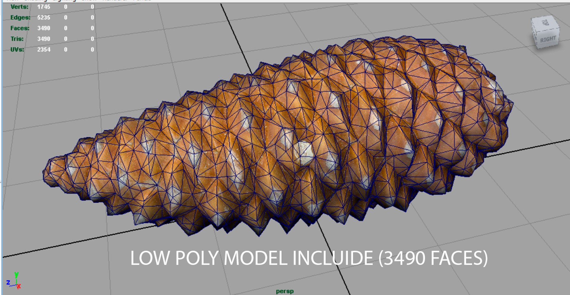 pinecone pine 3D model https://p.turbosquid.com/ts-thumb/X9/mQ5CWI/BCJOAZRO/render10/jpg/1496156908/1920x1080/fit_q87/e58858943547418b708ba1735284ac96ee8a8f70/render10.jpg