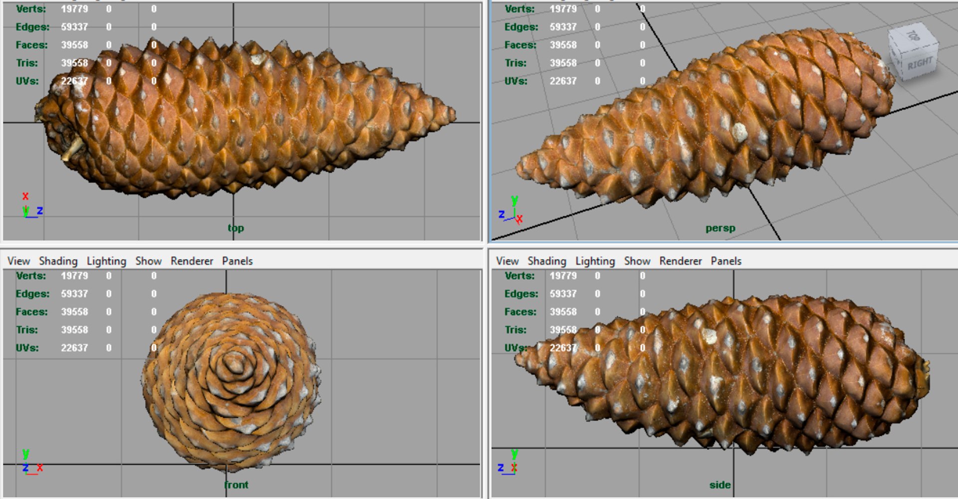 pinecone pine 3D model https://p.turbosquid.com/ts-thumb/X9/mQ5CWI/Ne4sOjgW/render4/jpg/1496156908/1920x1080/fit_q87/b39745764e2332924cedec7b511ebc98776fd3c8/render4.jpg
