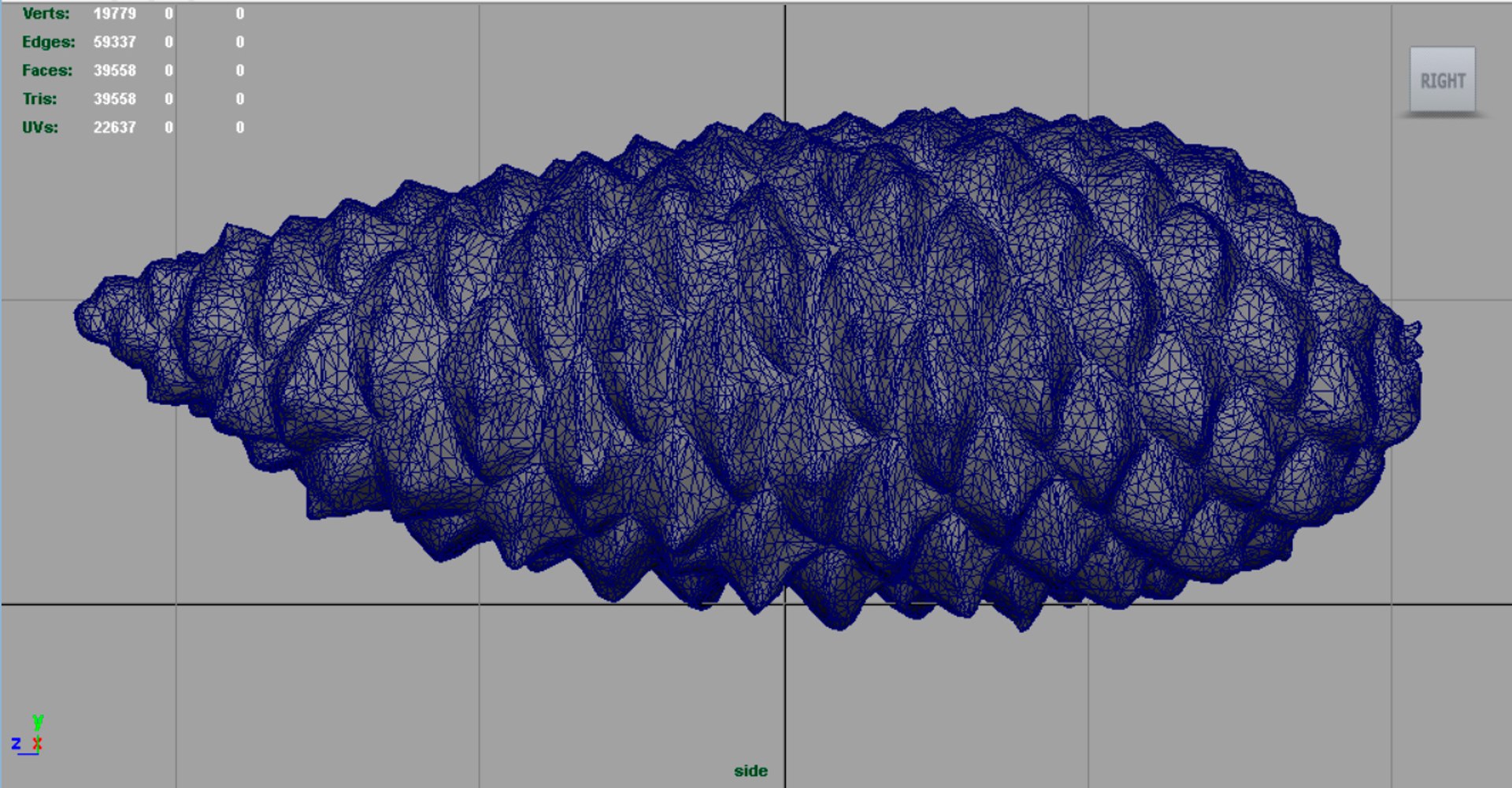 pinecone pine 3D model https://p.turbosquid.com/ts-thumb/X9/mQ5CWI/aabJA2HV/render9/jpg/1496156908/1920x1080/fit_q87/948885cdf98439caae7356b90e8849afdeecb81d/render9.jpg