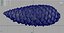 Pinecone