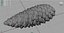 Pinecone