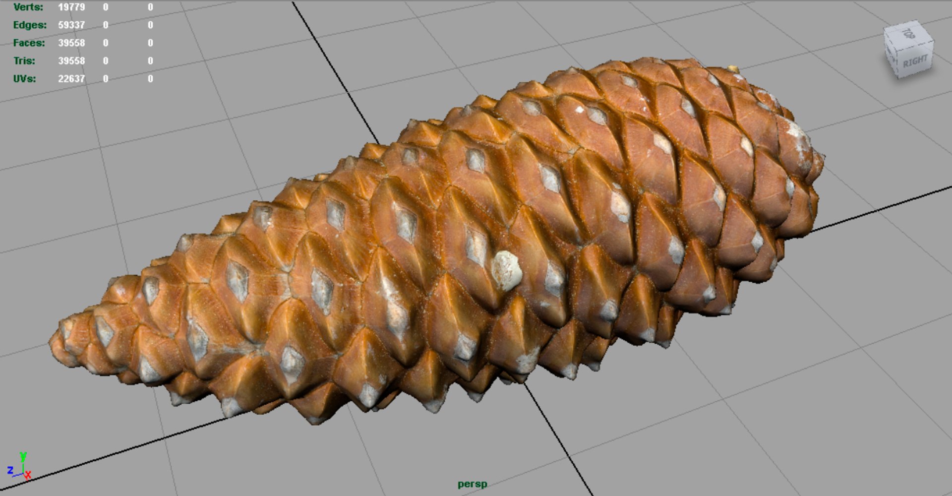 pinecone pine 3D model https://p.turbosquid.com/ts-thumb/X9/mQ5CWI/qyEy8usX/render1/jpg/1496156908/1920x1080/fit_q87/90386ec65f94f1b9f1336682f5940530770682f4/render1.jpg